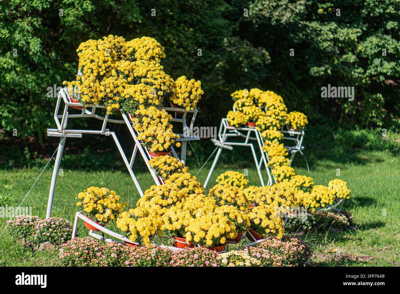 Eine lebendige Gartenszene zeigt gelbe und orangefarbene Topfpflanzen rund um eine Metallbühnenstruktur in einer Parkumgebung. Die Tageslichtbeleuchtung ist natürlich, ein Stockfoto