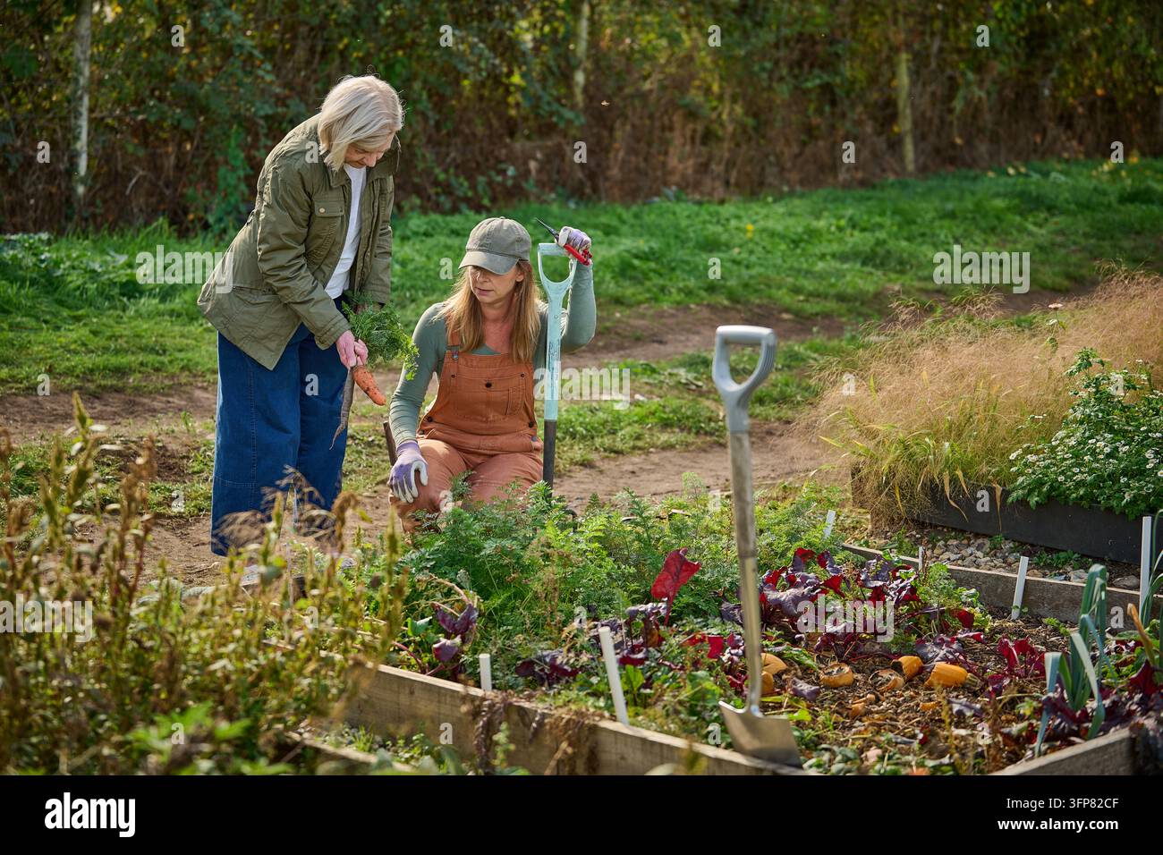 Zwei Frauen pflegen Pflanzen in einem ausgereiften Garten, wobei eine Frau neben einem Hochbeet kniet, während die andere zuschaut und über das Bepflanzen spricht. Ein Garten Stockfoto