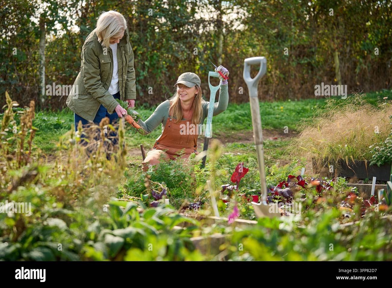 Zwei Frauen pflegen Pflanzen in einem ausgereiften Garten, wobei eine Frau neben einem Hochbeet kniet, während die andere zuschaut und über das Bepflanzen spricht. Ein Garten Stockfoto