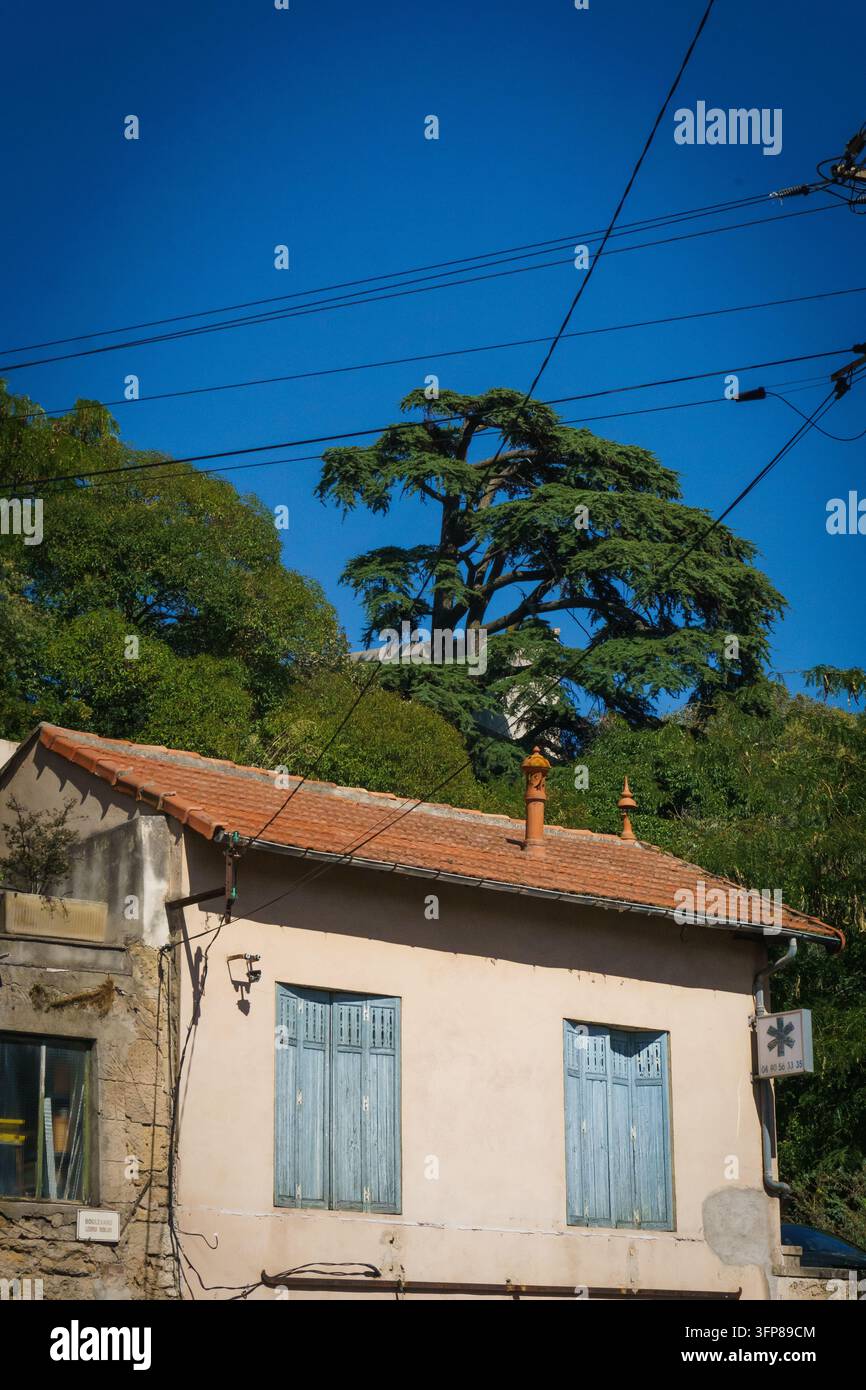 Salon de Provence, Frankreich Stockfoto