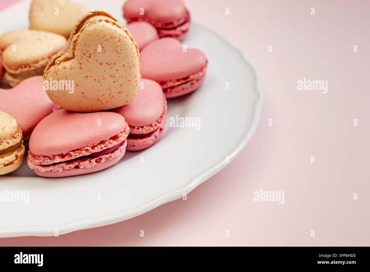 Vanille-Herz-Makrone ruht auf rosa Herz-Makronen auf einem weißen, muschelförmigen Teller, Nahaufnahme mit Kopierraum auf Rosa. Stockfoto