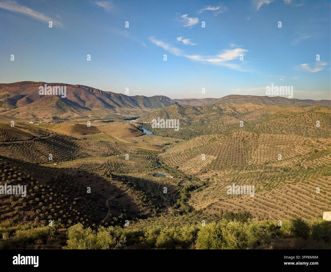 Weinterrassen entlang des Douro in Portugal Stockfoto