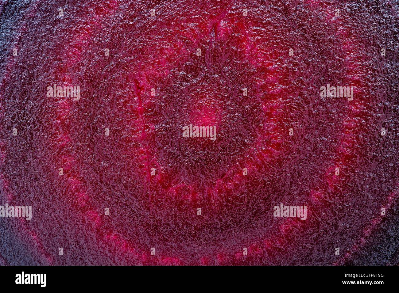 Nahaufnahme der Rote-Bete-Schicht. Hintergrund der Rote Beete-Schicht. Draufsicht Stockfoto