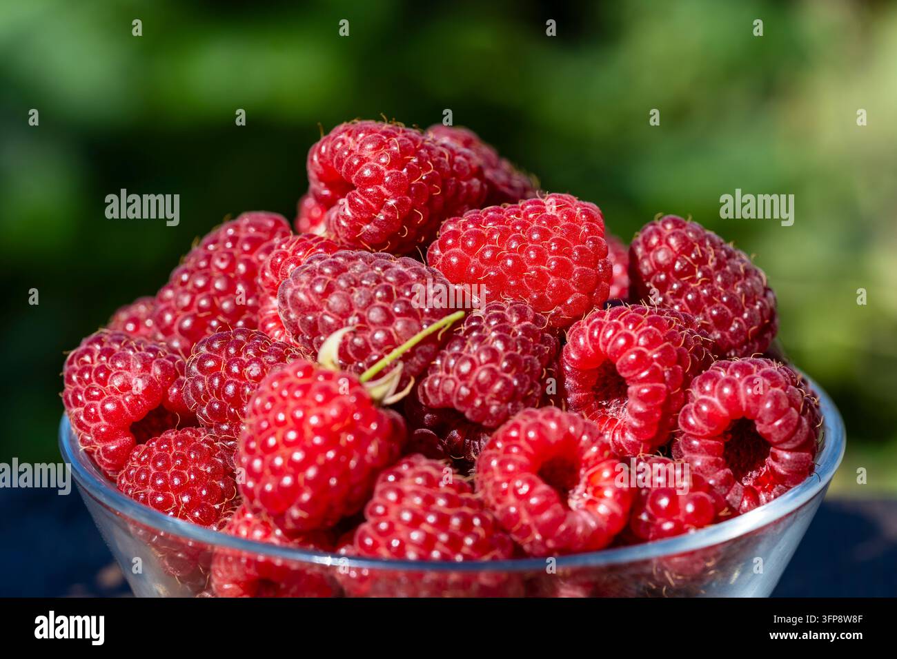 Frische, reife rote Himbeeren in einer Glasschale auf einem Holztisch im Garten, Nahaufnahme Stockfoto