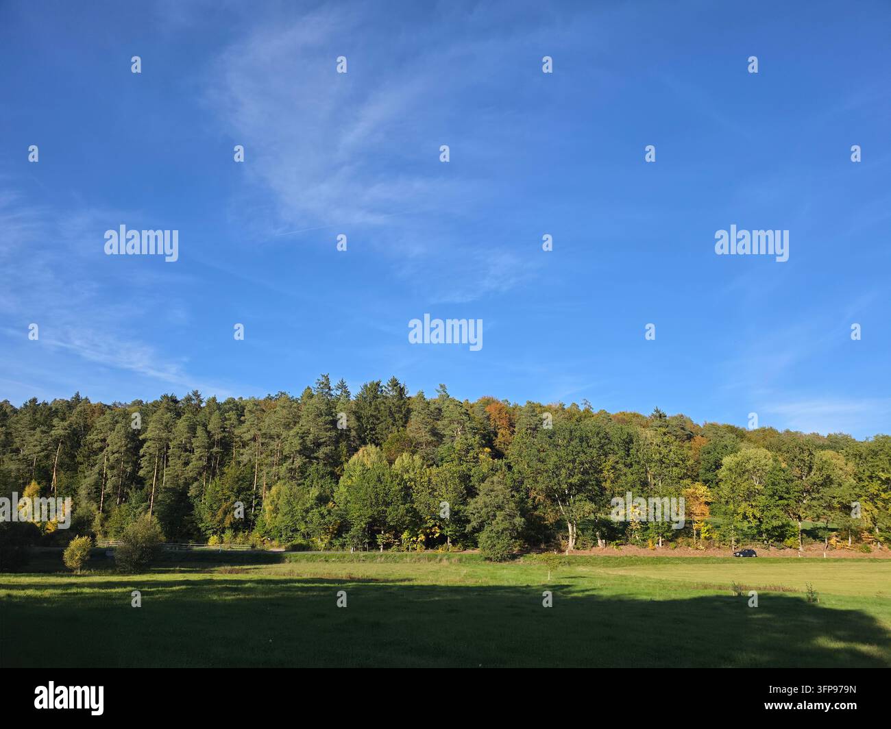 Panoramiches Landschaftsbild eines üppigen grünen Waldhorizonts unter einem lebendigen klaren blauen Himmel mit sanften Wölkchen an einem sonnigen Tag - Smartphone-aufgenommenes Stockfoto