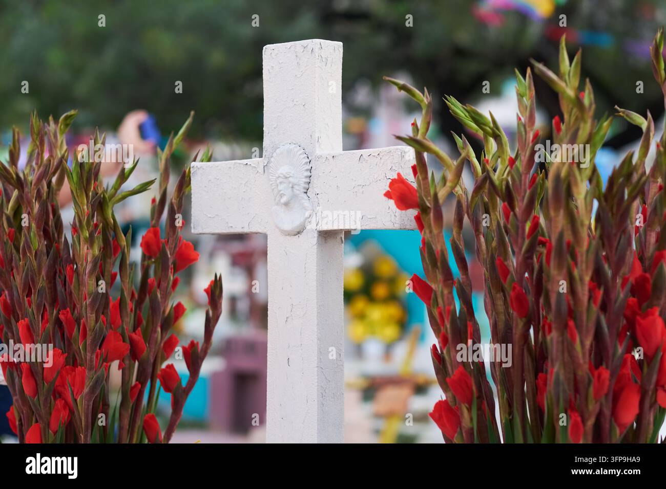 Weißes Kreuz umrahmt von roten Gladiolen auf einem geschmückten Friedhof, Tag der Toten, Monterrey, Mexiko Stockfoto
