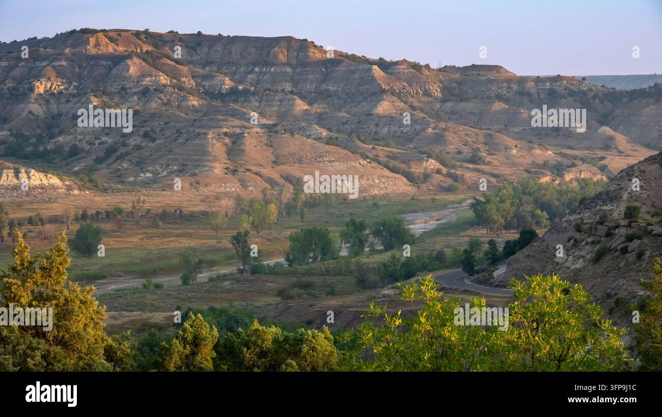Tal des Little Missouri River zur Goldenen Stunde mit grünen Pappel Bäumen, geschichteten Badlands-Buttes und frühmorgendlicher Atmosphäre im Theodore Roosevelt N Stockfoto