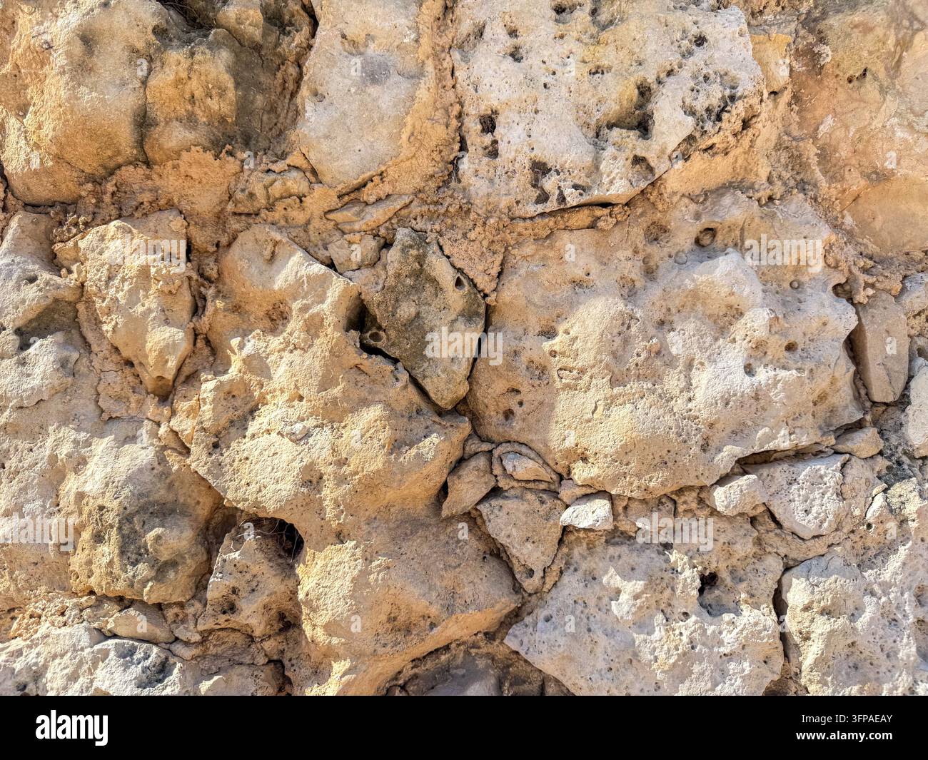Raue poröse Kalkstein-Oberfläche mit Fossilien und Rissen – Natürlicher Steintextur-Hintergrund Stockfoto