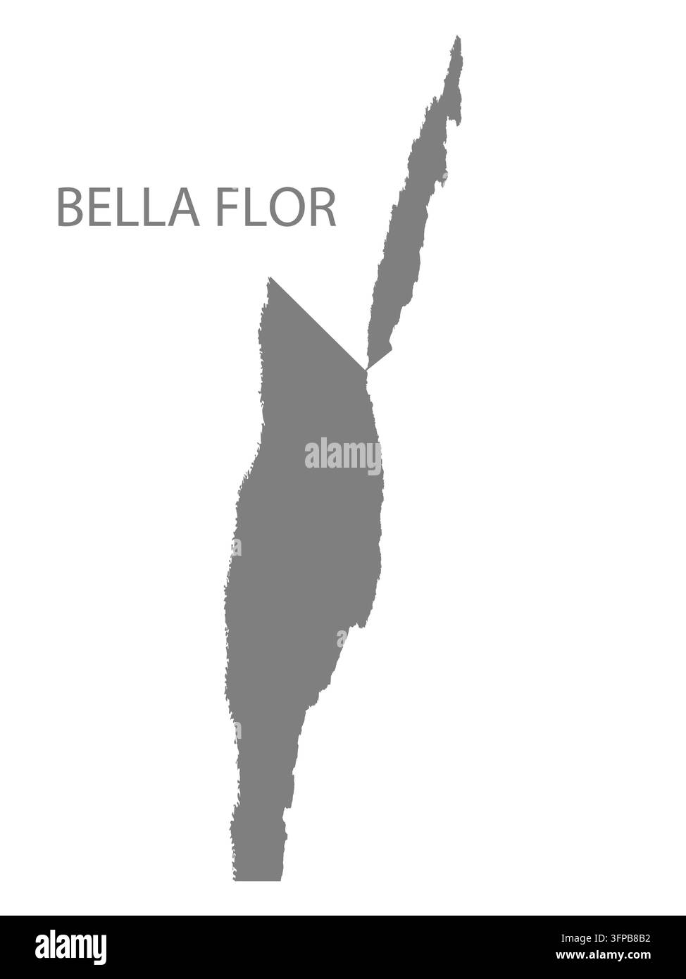 Moderne flache Vektorkarte von Bella Flor, Pando, Bolivien. Detaillierte Silhouette der Gemeindegrenze in Grau auf weißem Hintergrund. Stock Vektor
