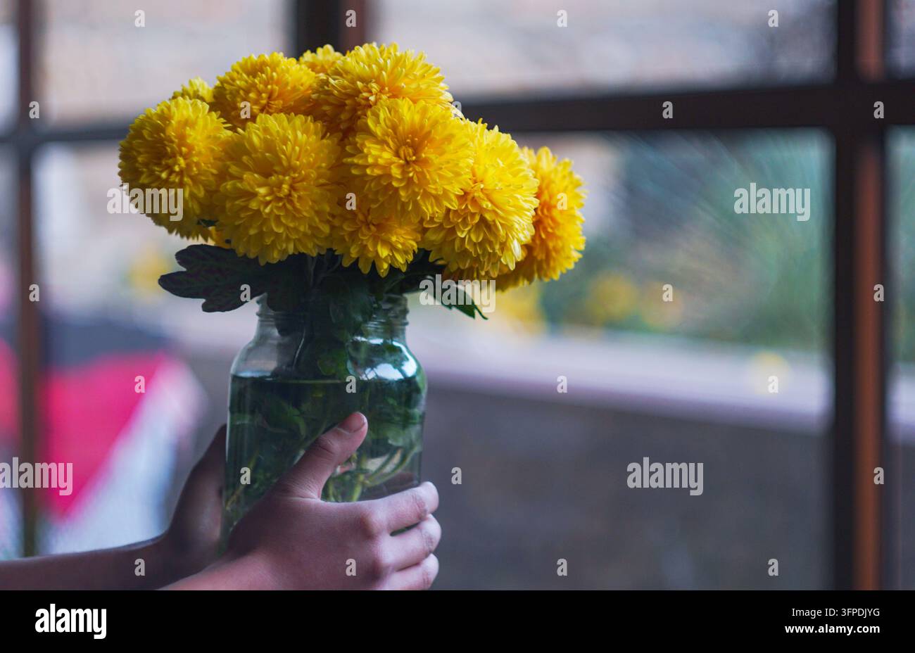 Gelbe Blumen in einem Glas gefüllt mit Wasser Stockfoto