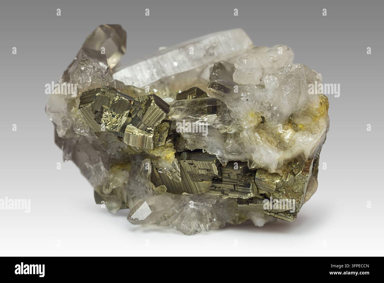 Eine Ausstellung von Bergkristall-Drusen zeigt klaren Quarz mit glänzendem Pyrit in einer Mineralien-Sammlung. Stockfoto