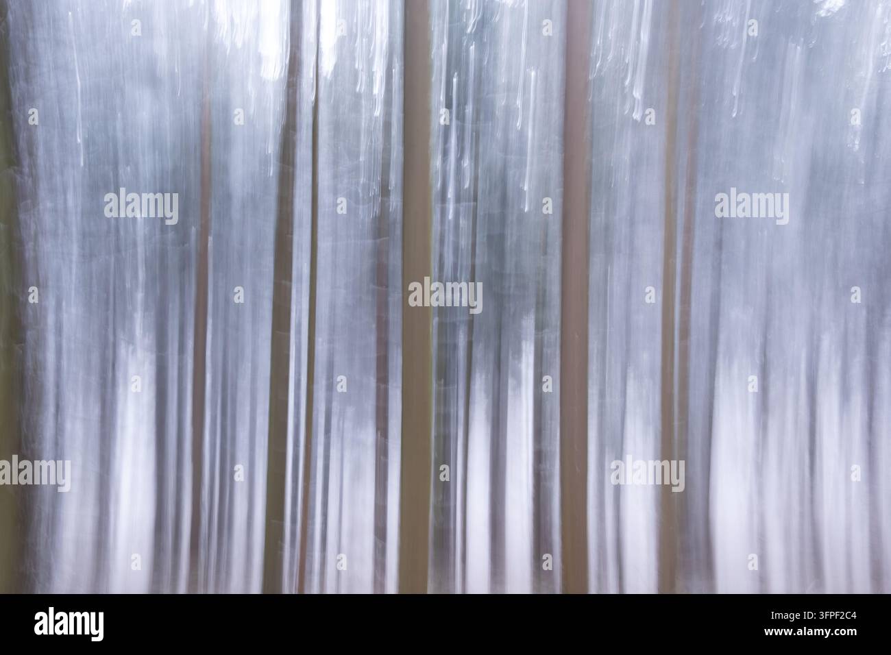 Träumliche absichtliche Kamerabewegungsunschärfe von Waldstämmen in nebeligem Winterlicht, ideal für Kunstdrucke. Stockfoto