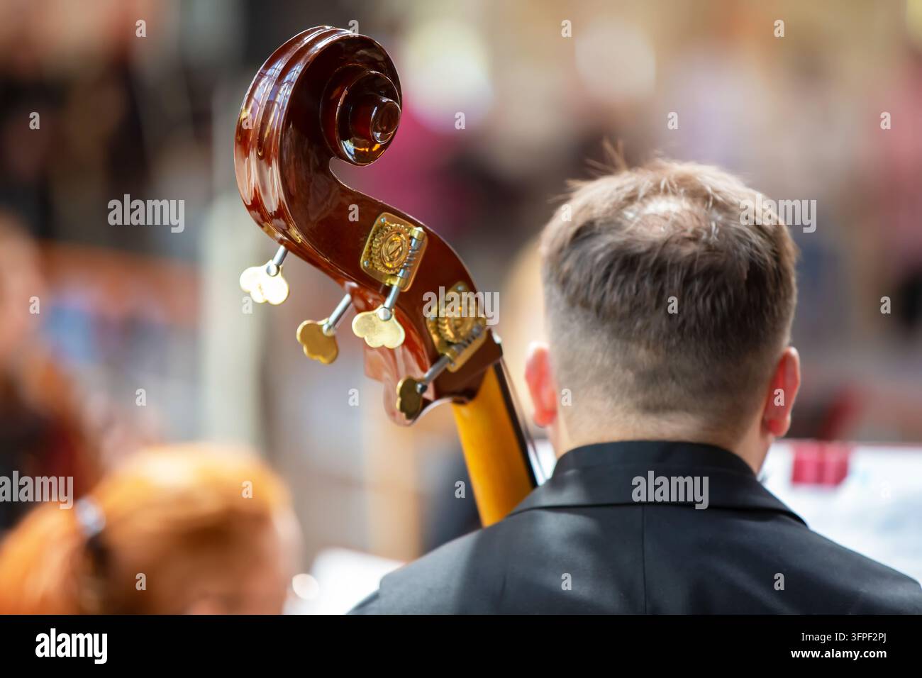 Ein Musiker steht mit dem Rücken zur Kamera und hält ein Saiteninstrument, während andere Musiker bei einer Veranstaltung auftreten Stockfoto