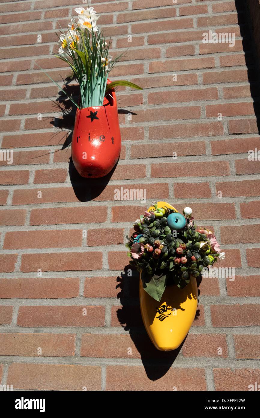 Holländische Holzschuhe, die als hängende Blumenkörbe an der Wand mit Blumen darin verwendet werden Stockfoto