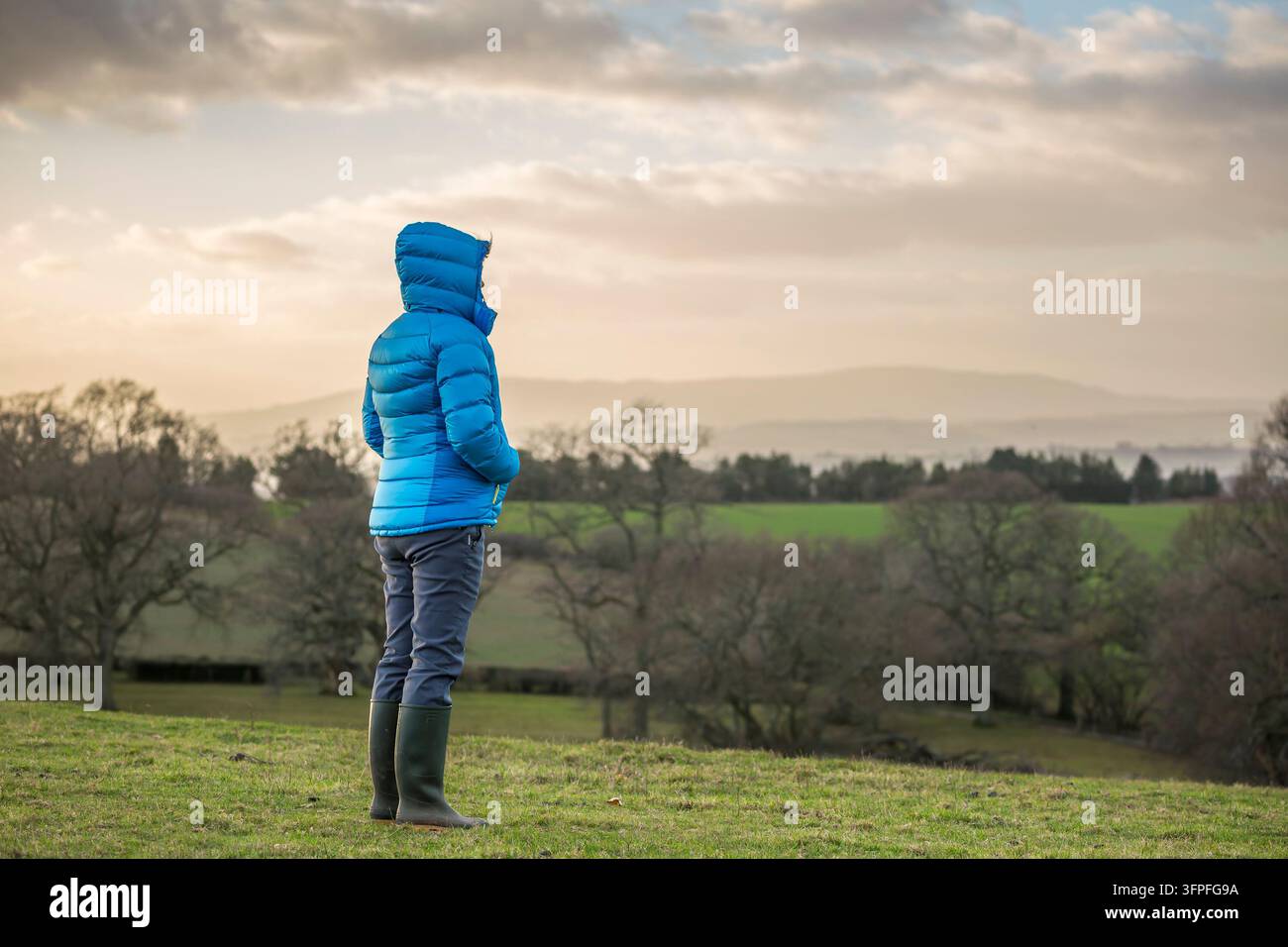 Frau in Winterjacke und Gummistiefeln, die an einem Wintertag über die Hügel der britischen Landschaft blickt. Stockfoto
