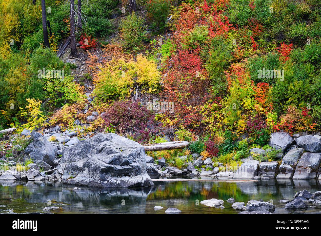 Herbstfarben an der Uferseite des Wenatchee River entlang des Tumwater Canyon Stockfoto