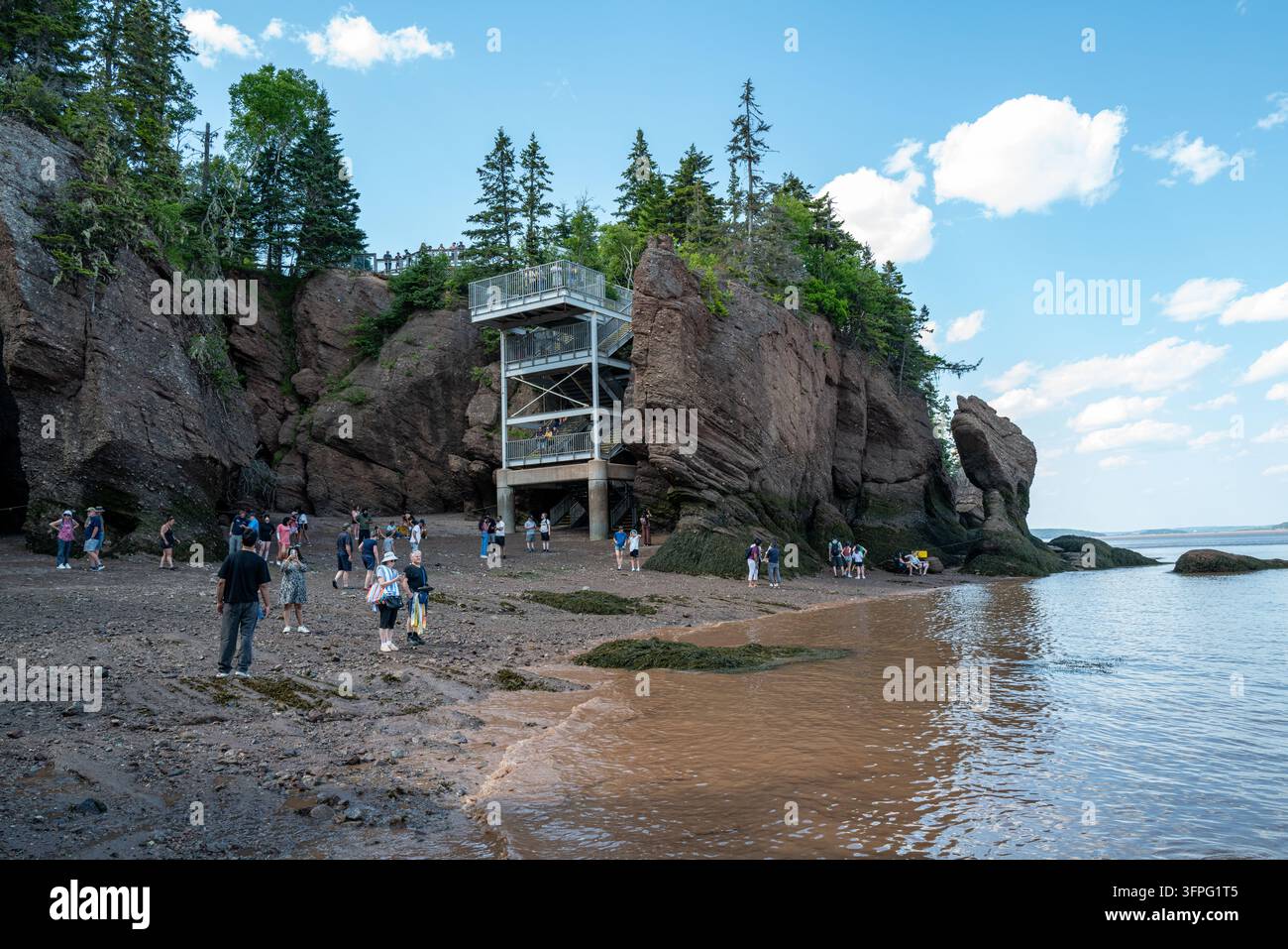 Touristen versammeln sich auf einem freiliegenden Meeresboden nahe einer Küstenbeobachtungstreppe, die Parkzugangsinfrastruktur und extreme Gezeiten-Öko-Tourismus veranschaulichend Stockfoto