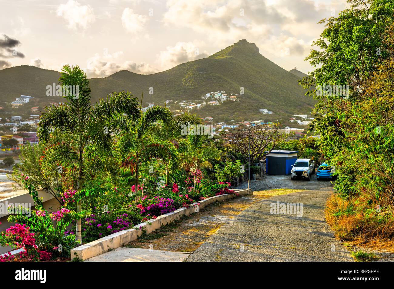 Prachtvolle Kamelstraße gesäumt von farbenfrohen Bougainvillea-Blüten und Palmen mit Blick auf die üppigen Hügel und die Stadt Sint Maarten in den karibischen Niederlanden Stockfoto