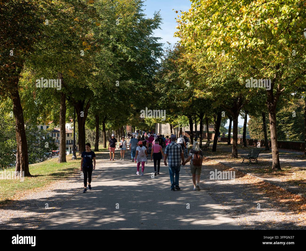 Menschen, die auf den Renaissancemauern spazieren und radeln, die die historische Stadt Lucca in der Toskana, Italien, umgeben. Stockfoto