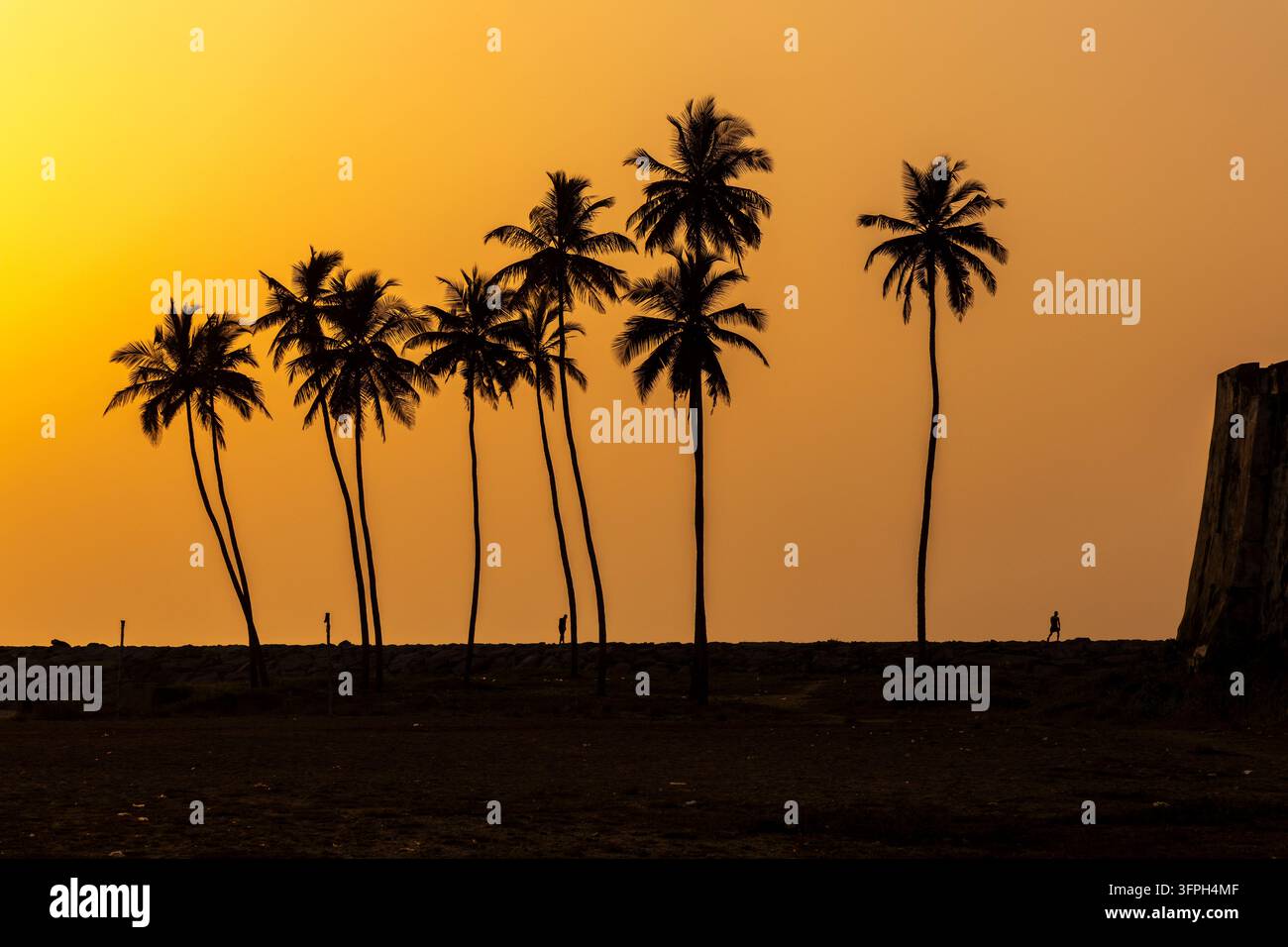 Palmen, die sich bei Sonnenuntergang vor einem orangefarbenen Himmel abzeichnen, Zentralregion, Elmina, Ghana Stockfoto