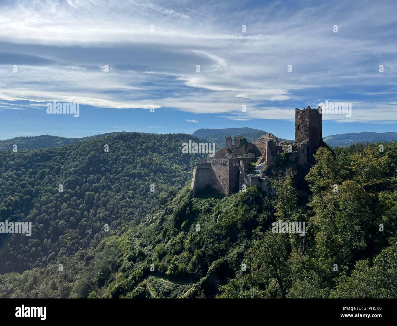 Panoramablick auf die Ruinen der Burg Saint-Ulrich, umgeben von grünen Waldhügeln in Ribeauvillé, Elsass, Frankreich. - Smartphone-aufgenommenes Stockfoto