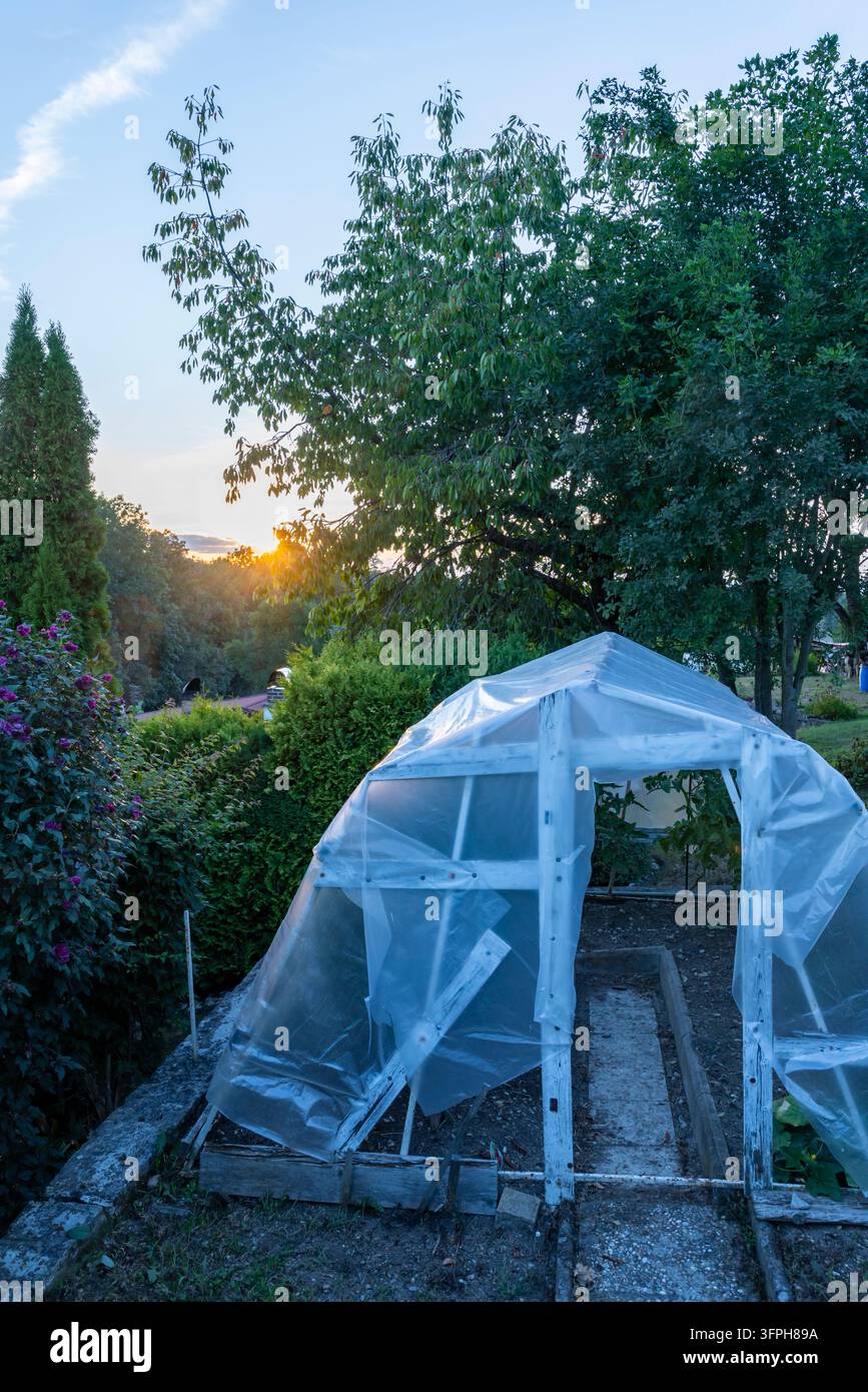 Kleine Kunststoff-Gewächshausstruktur in einem Hausgarten bei warmer Abendsonne Stockfoto
