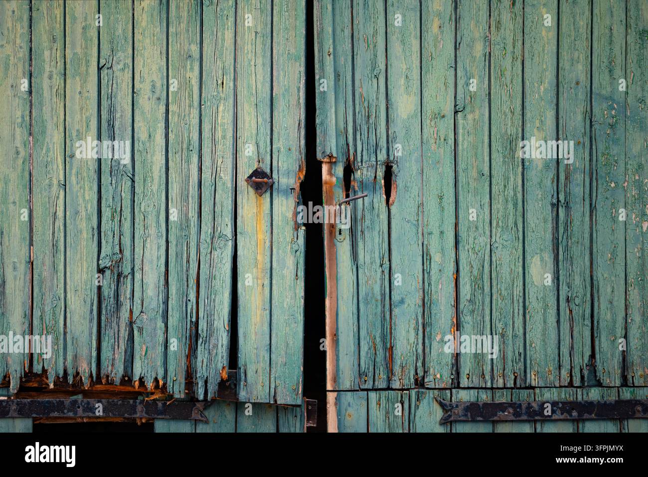 Nahaufnahme von alten türkisfarbenen Holztüren mit abblätternder Farbe, abgenutzten Brettern und rustikalen Eisenbeschlägen auf der Nordseeinsel Sylt, Deutschland. Stockfoto