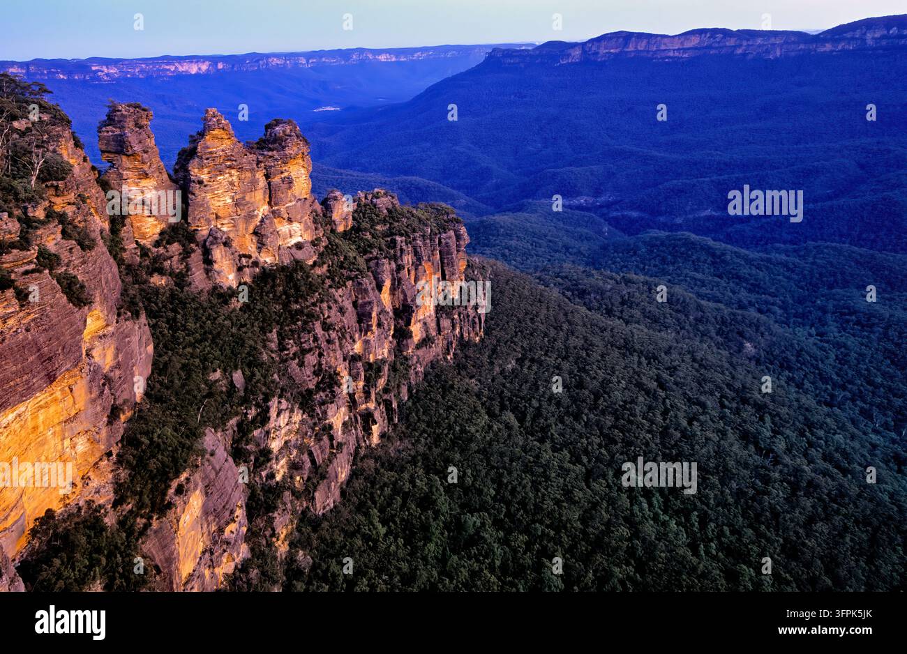 Warmes Abendlicht auf den Sandsteinpinnakeln über dem Eukalyptushain des Jamison Valley bei Katoomba, New South Wales Stockfoto