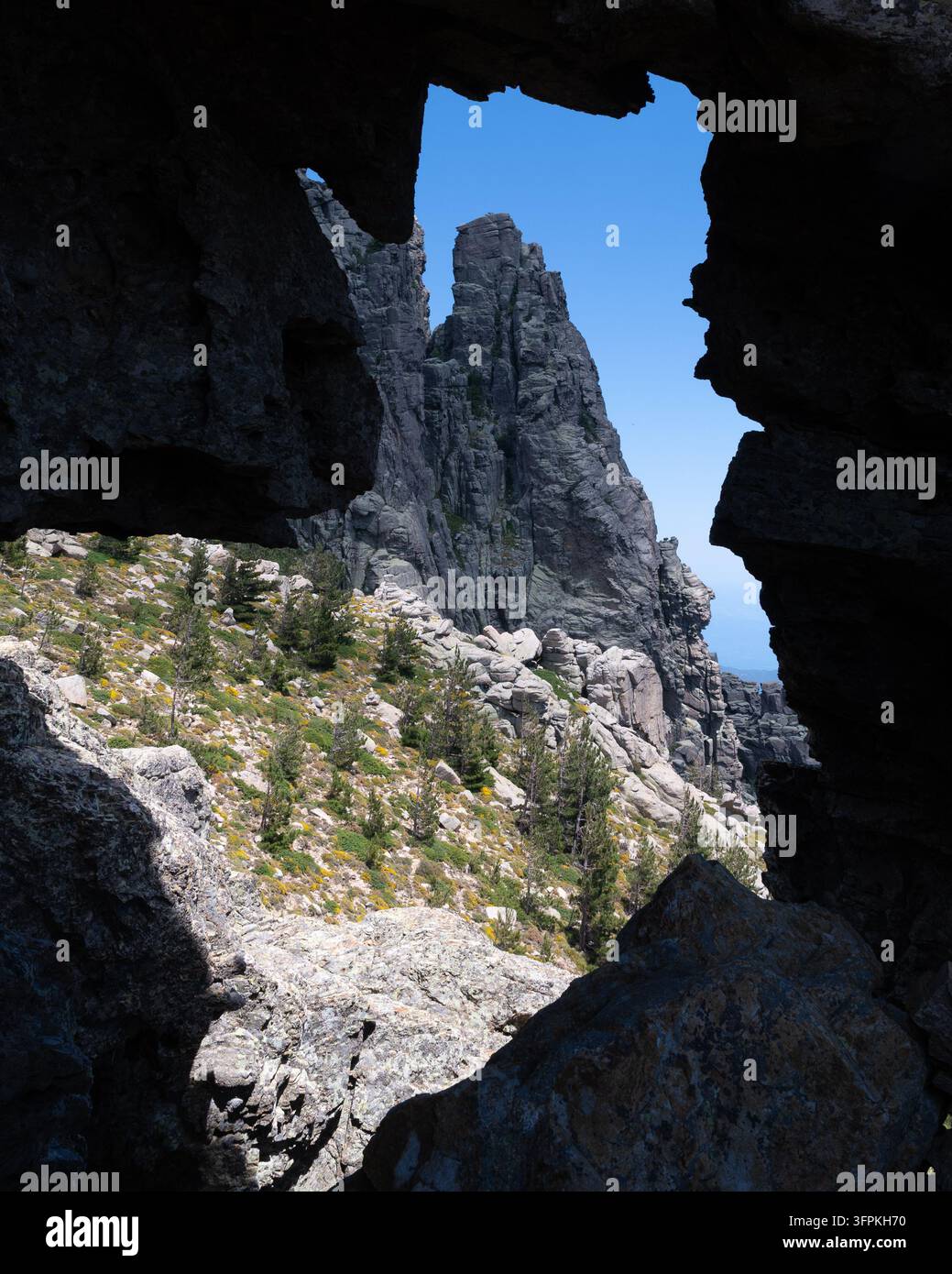 Natürliches Felsfenster, das einen Granitturm und einen mit Kiefern bedeckten Berghang mit gelben Blumen unter einem blauen Himmel einrahmt, Bavella, Korsika, Frankreich Stockfoto