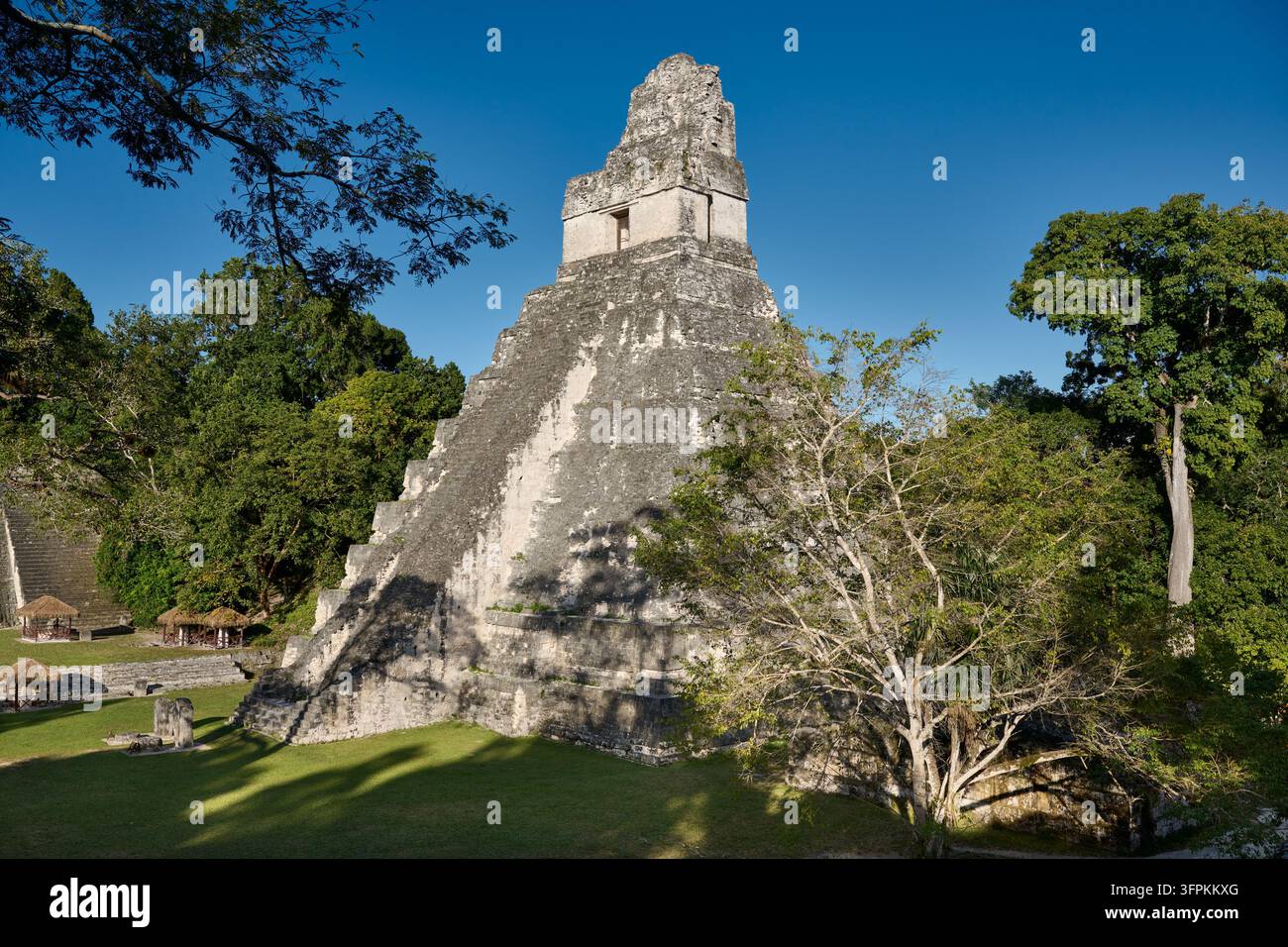 Mayanische Ruinen von Tikal, Templo del Gran Jaguar, Tikal-Nationalpark, Petén, Guatemala, Mittelamerika Stockfoto