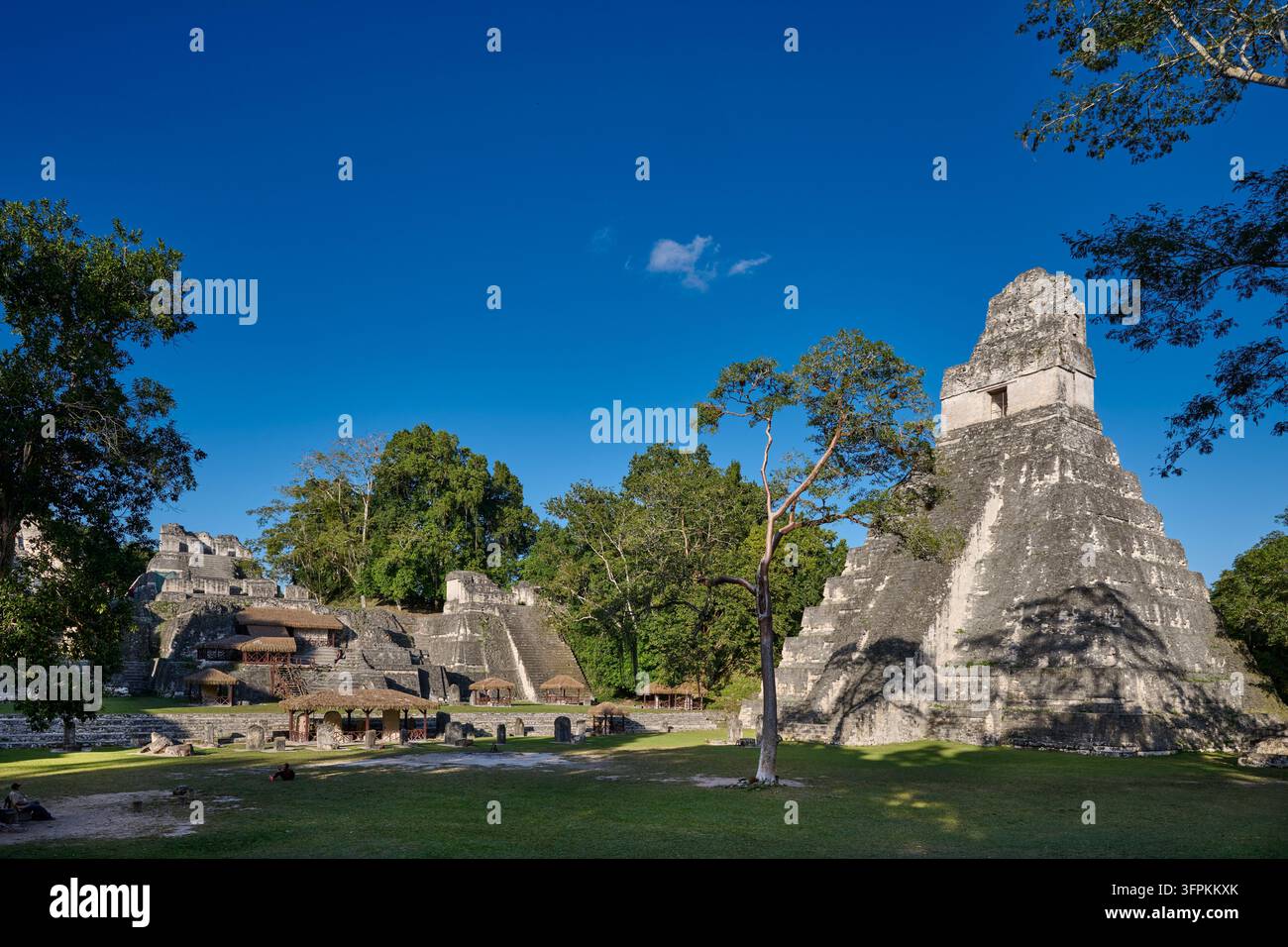 Mayanische Ruinen von Tikal, Templo del Gran Jaguar, Tikal-Nationalpark, Petén, Guatemala, Mittelamerika Stockfoto