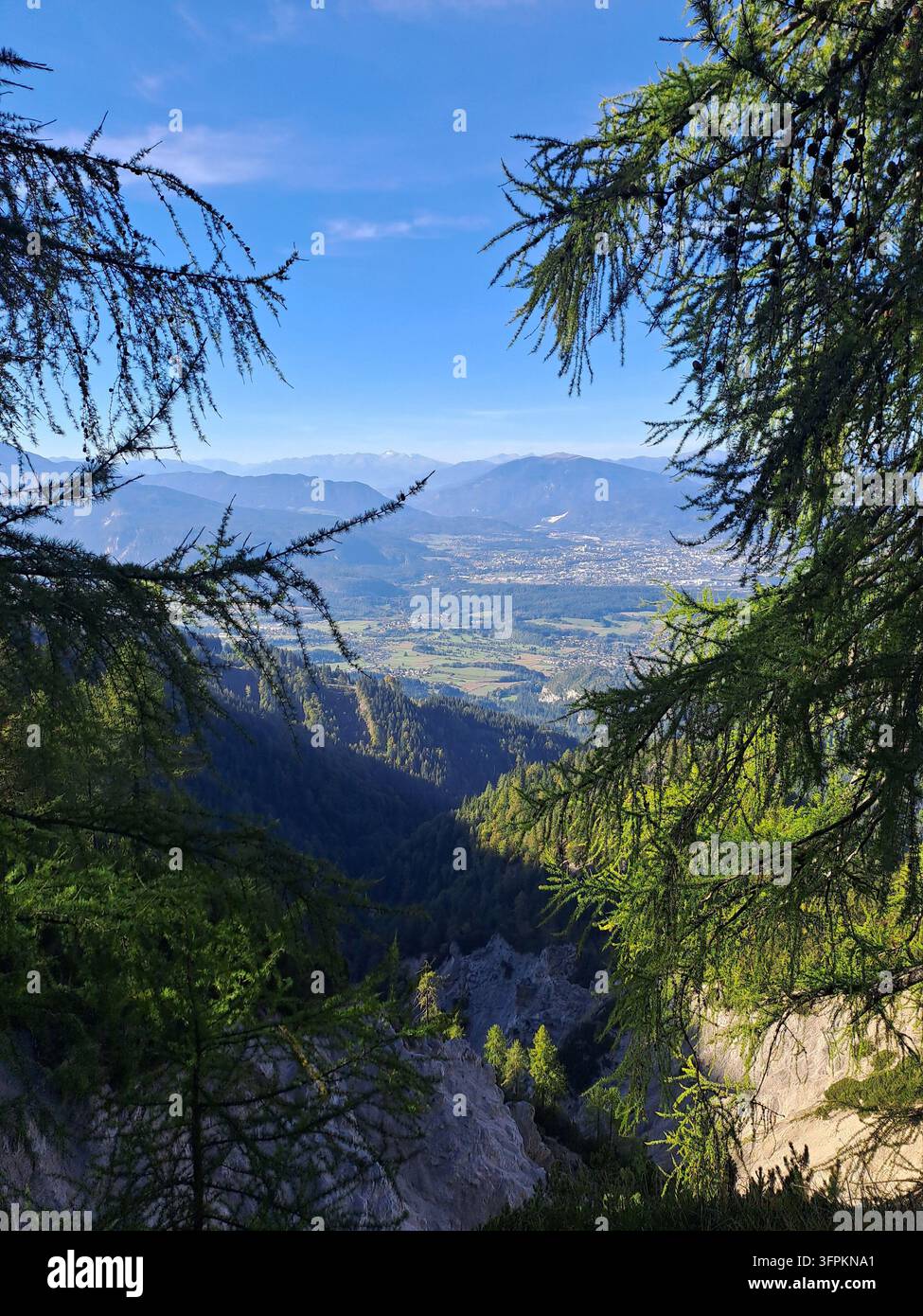 Talblick durch Lärchenzweige zu fernen Bergen - Smartphone-aufgenommenes Stockfoto