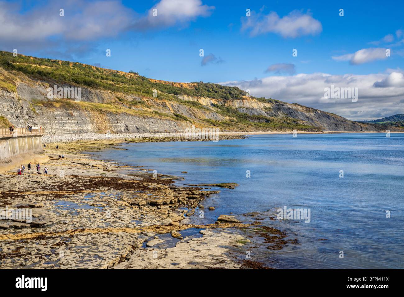 Broad Ledge in Lyme Regis an der Jurassic Coast, Dorset Stockfoto