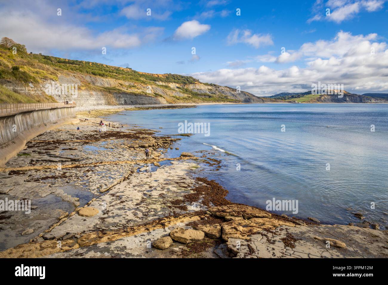 Broad Ledge in Lyme Regis an der Jurassic Coast, Dorset Stockfoto