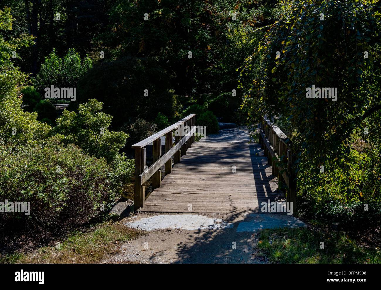 Eine hölzerne Fußgängerbrücke mit einfachen Holzgeländern, die einen kleinen Bach oder Weg überquert, umgeben von grünen Büschen, Bäumen und hängendem Laub. Stockfoto