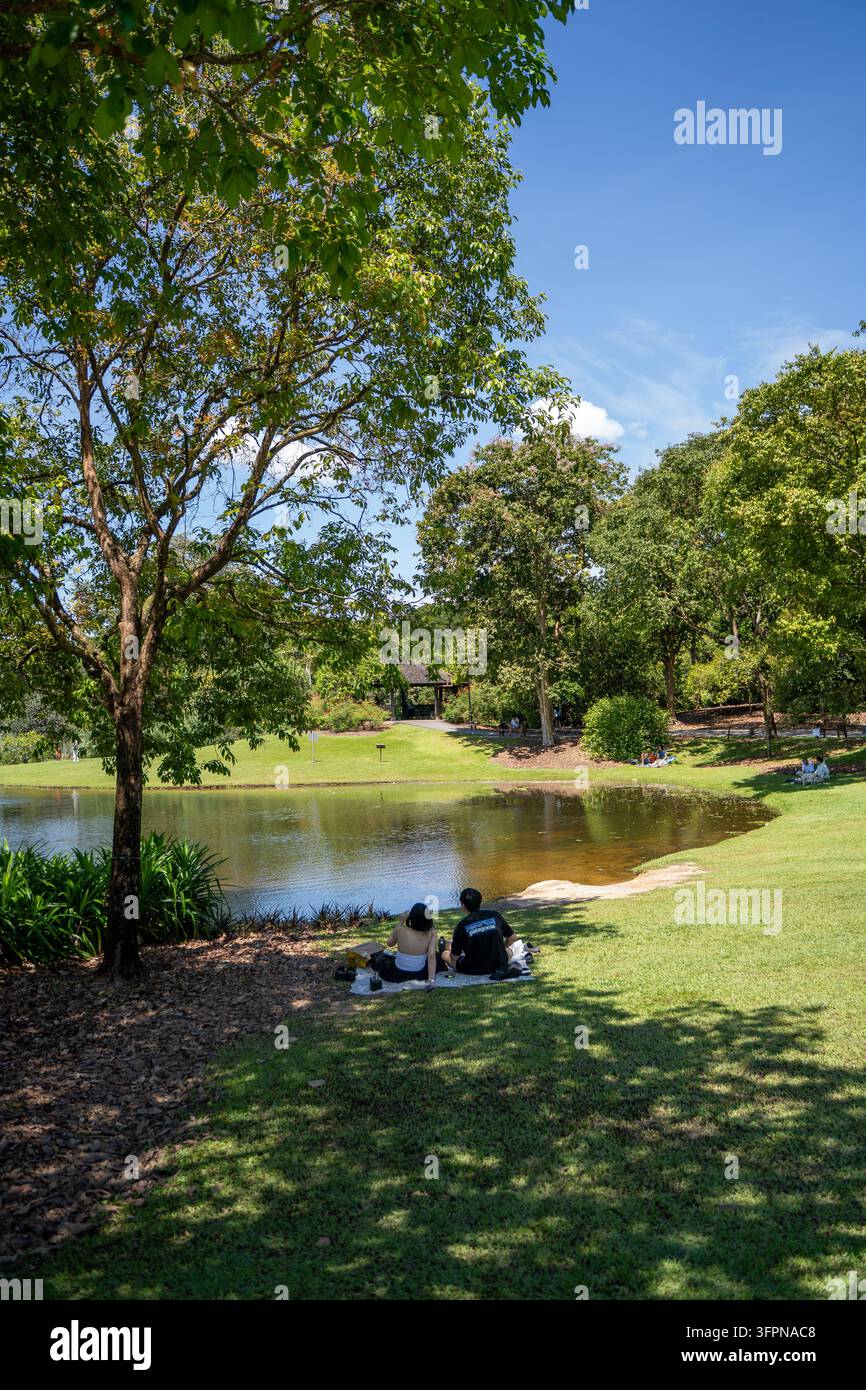 Menschen entspannen sich auf der Wiese neben einem See im botanischen Garten von Singapur Stockfoto