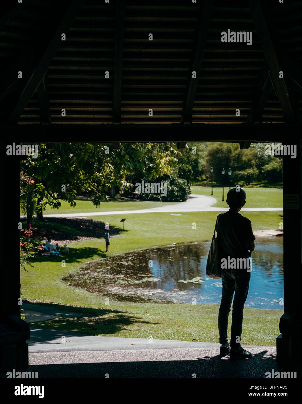 Eine Person steht in einem schattigen Pavillon und blickt auf einen See im botanischen Garten von Singapur Stockfoto