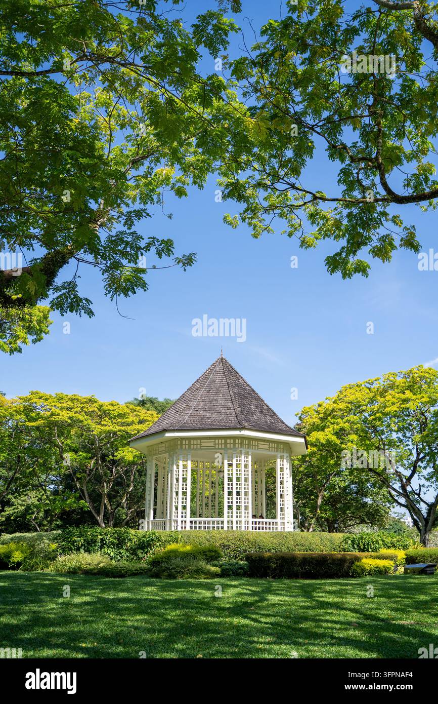 Das weiße Bandstand-Gazebo, eingerahmt von Ästen in den botanischen Gärten von Singapur Stockfoto