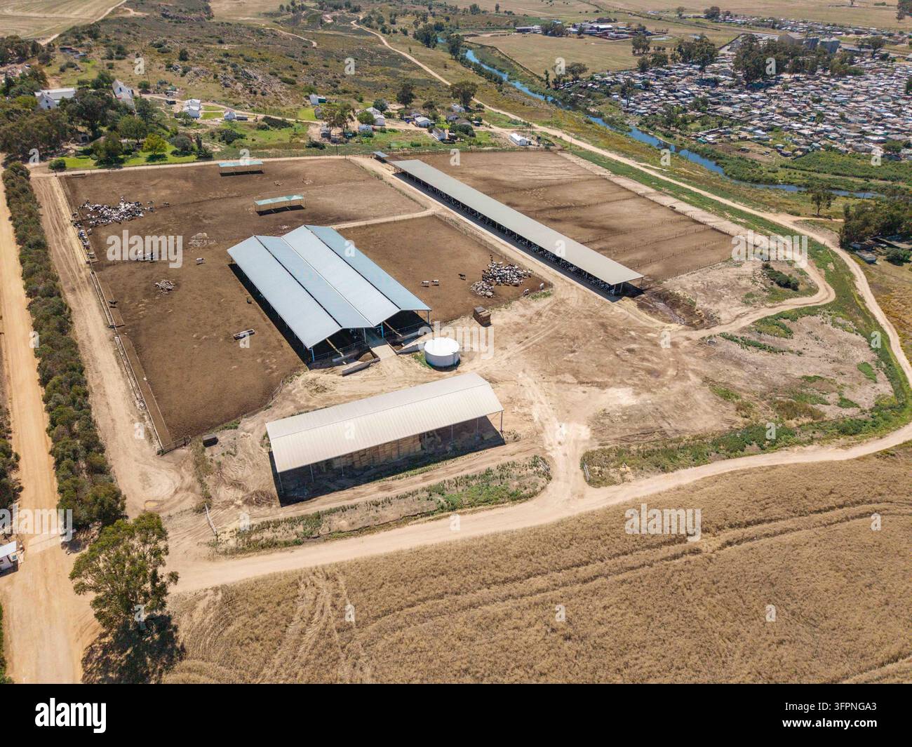 Luftbild einer großen landwirtschaftlichen Anlage mit Tiergehegen und Scheunen mit Metalldächern, umgeben von trockenen Feldern, Philadelphia, Westkap, Südaf Stockfoto