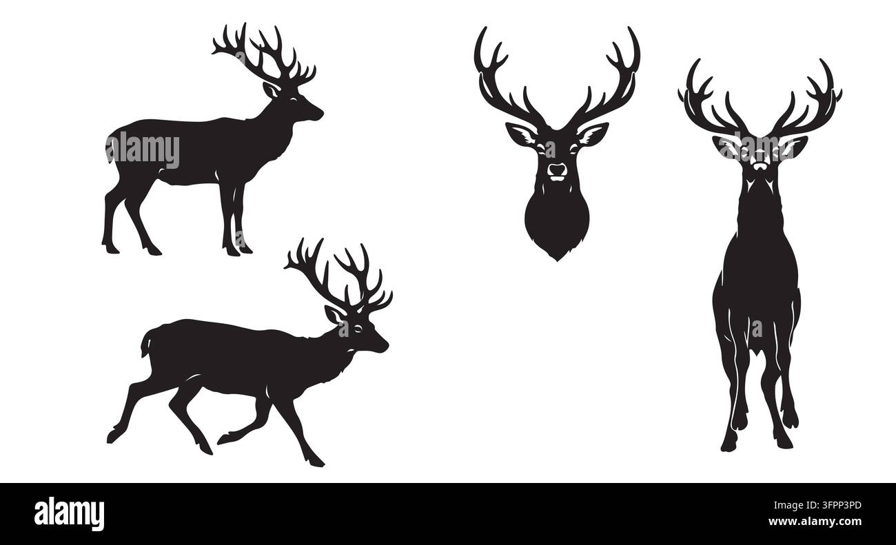 Satz von schwarzen Hirsch-Silhouetten, die verschiedene Posen und Geweih zeigen, mit Wildtieren Stock Vektor