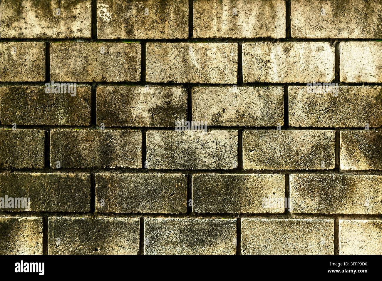 Alte Ziegelwand mit Moos und dunklen Flecken, die eine verwitterte und strukturierte urbane Oberfläche zeigt. Stockfoto