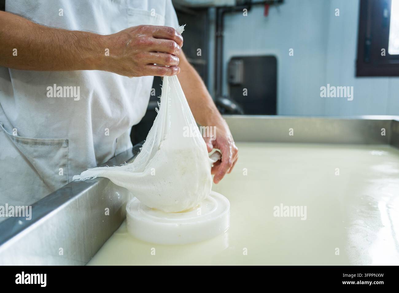 Nahaufnahme von Händen, die Quark mit einem Tuch in Käseformen drücken, Kunsthandwerker in einer Käserei Stockfoto