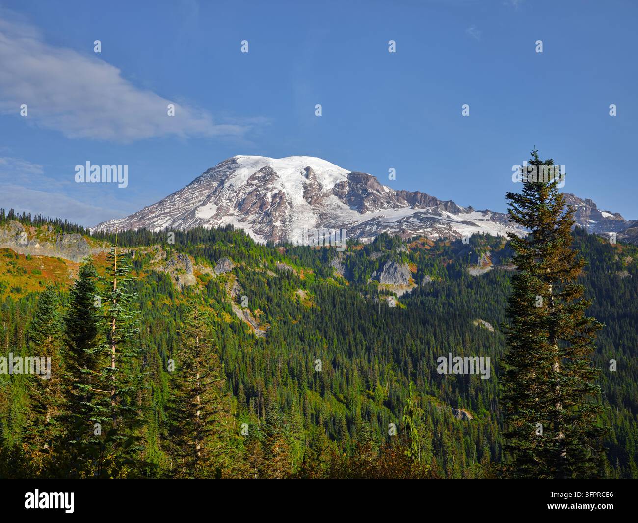 Der majestätische Mt. Rainier an einem klaren und sonnigen Tag im Zentrum von Washington. Stockfoto