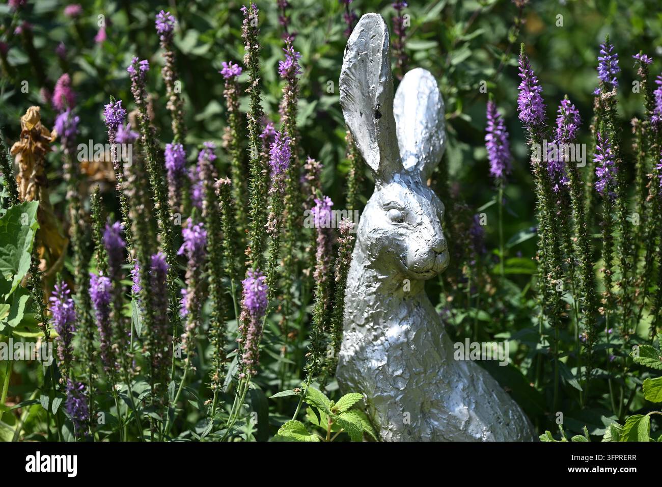 Ein silbernes Hasenornament sitzt zwischen lila Blumen und grünem Laub Stockfoto