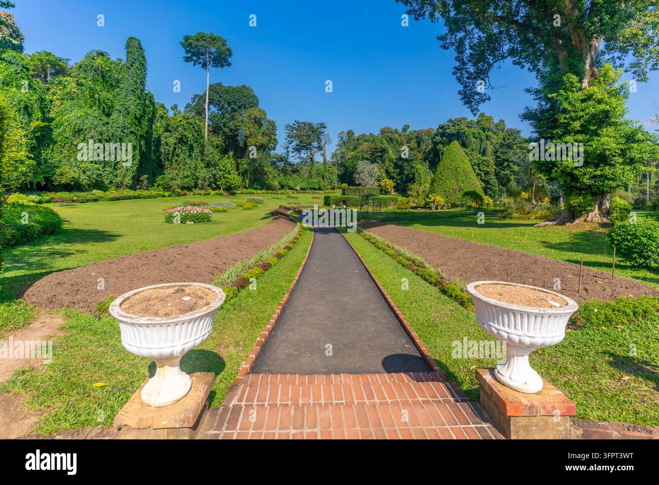 Blick auf die Royal Botanic Gardens, Peradeniya in Kandy an einem sonnigen Tag, Kandy, Zentralprovinz, Sri Lanka, Asien Stockfoto