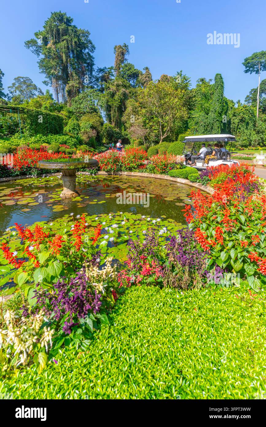 Blick auf die Royal Botanic Gardens, Peradeniya in Kandy an einem sonnigen Tag, Kandy, Zentralprovinz, Sri Lanka, Asien Stockfoto