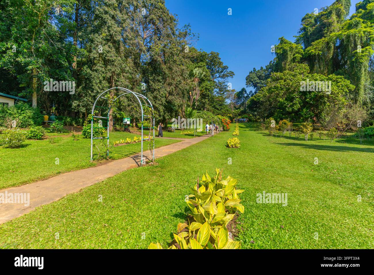 Blick auf die Royal Botanic Gardens, Peradeniya in Kandy an einem sonnigen Tag, Kandy, Zentralprovinz, Sri Lanka, Asien Stockfoto