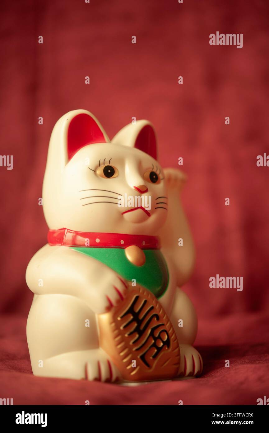 Weißer japanischer Maneki-Neko-Glückskater mit erhobener Pfote, Goldmünze und grünem Halstuch, posiert vor einem tiefroten Stoffhintergrund Stockfoto