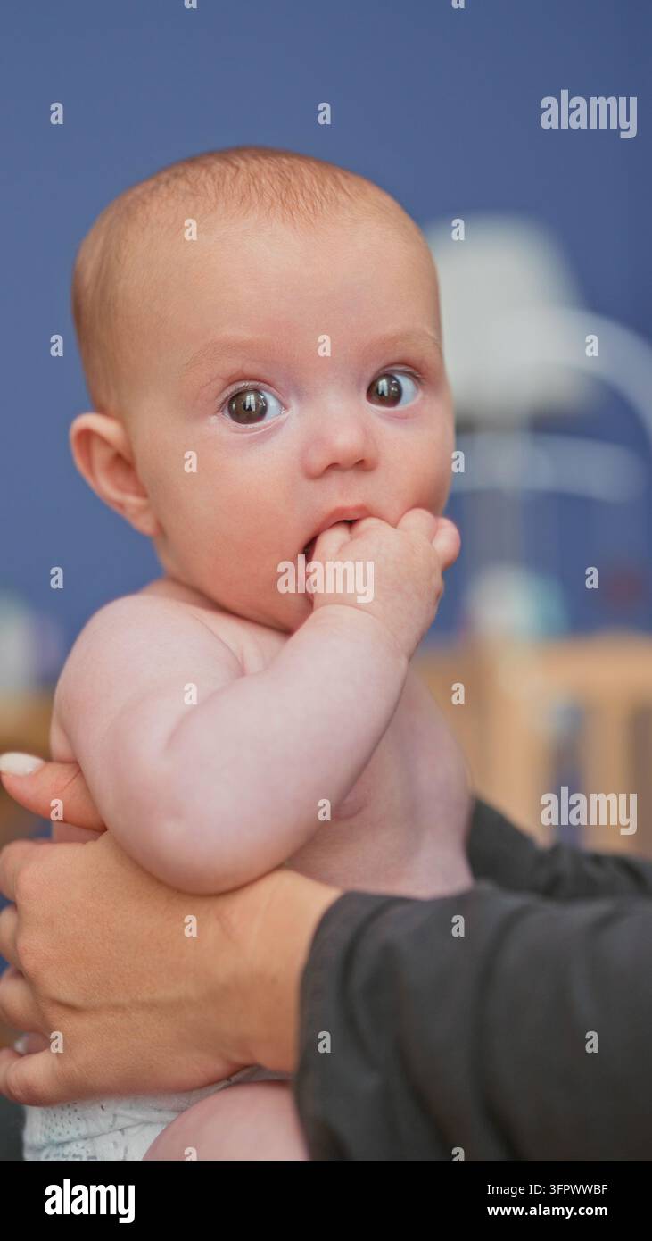 Babymädchen mit Fingern im Mund, während es von erwachsenen Händen gehalten wird, Windel sichtbar und Kinderbett-Mobile an blauer Wand im Studio; Neugier Unschuld. Stockfoto
