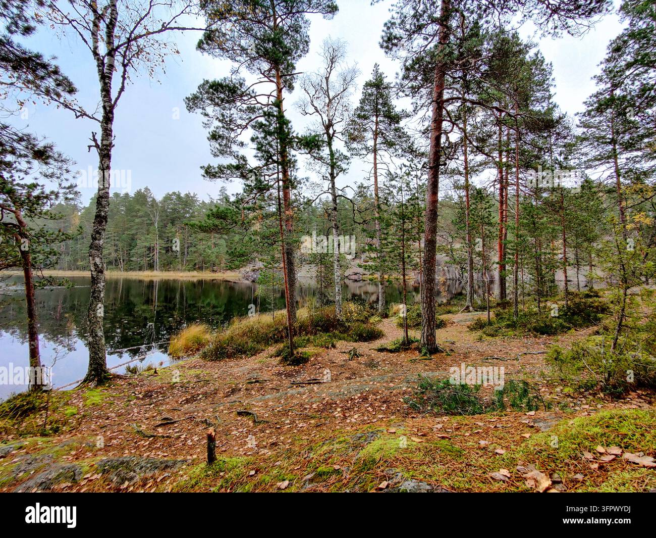 Ein ruhiger Waldsee im Nuuksio-Nationalpark mit spiegelglattem Wasser, das die immergrünen Bäume, die felsige Uferlinie und das Herbstlaub unter einer bewölkten S Stockfoto